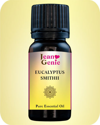 Eucalyptus Essential Oil (11ml/22ml) - Jeangeniehealth